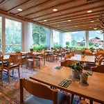 Des Alpes Hotel 3*