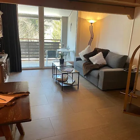 Des Alpes Отель 3*