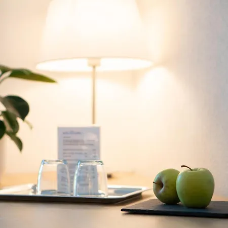 Des Alpes Ξενοδοχείο 3*