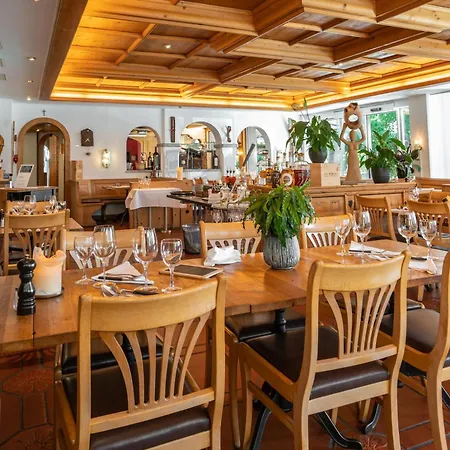 酒店 阿尔卑斯山酒店 弗利姆斯