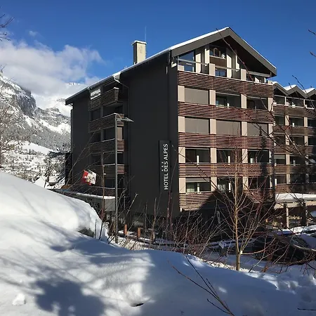 מלון Des Alpes 3*