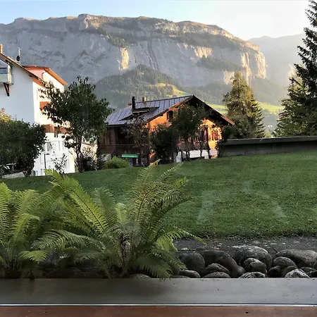 Отель Des Alpes 3*