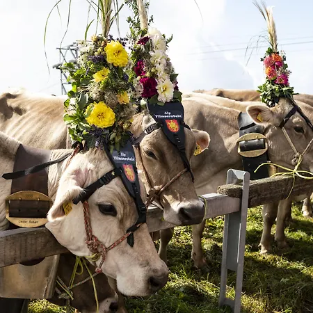 阿尔卑斯山酒店 3*