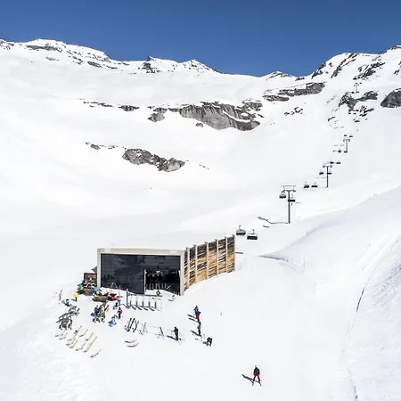 Hotel Des Alpes 3*