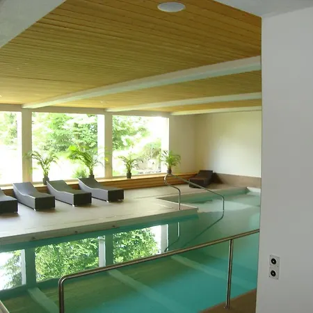 Des Alpes 3* Flims