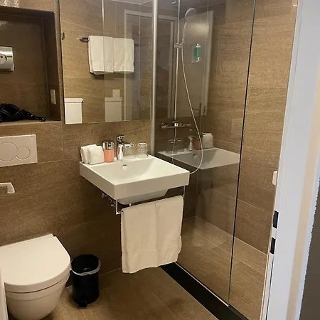 阿尔卑斯山酒店 酒店 弗利姆斯