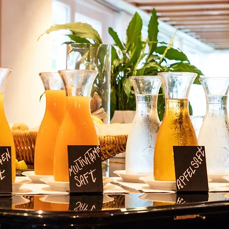 Hotel Des Alpes Flims