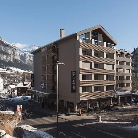 阿尔卑斯山酒店 弗利姆斯